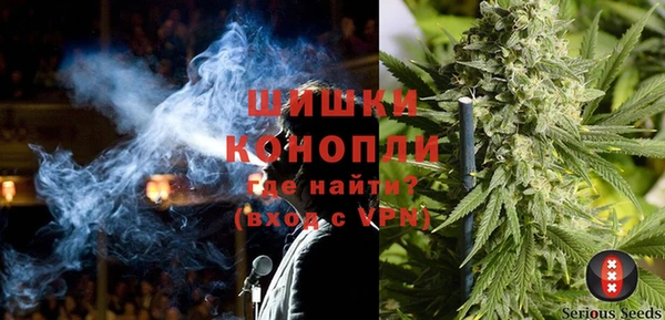 mdpv Бородино