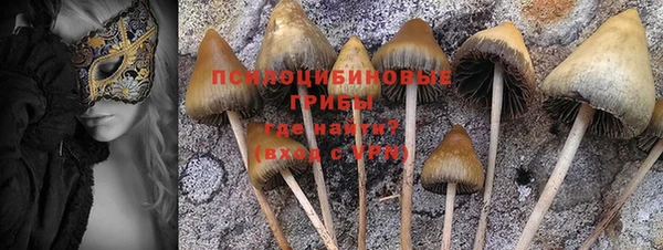 прущие крисы Бронницы
