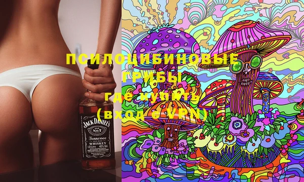 mdpv Бородино