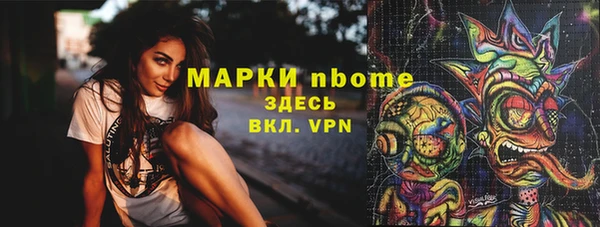 mdpv Бородино