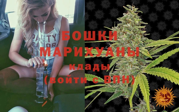 mdpv Бородино