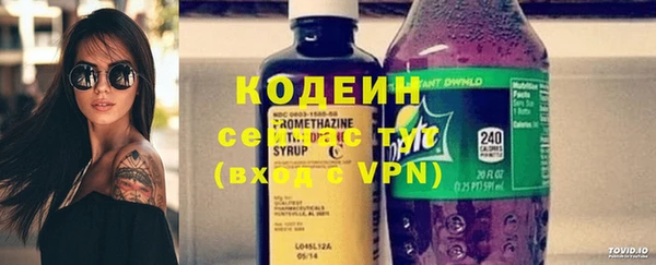 mdpv Бородино