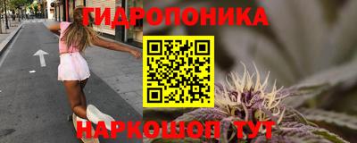 прущие крисы Малгобек