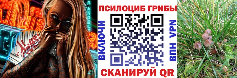 как найти закладки  Великие Луки  Галлюциногенные грибы прущие грибы 