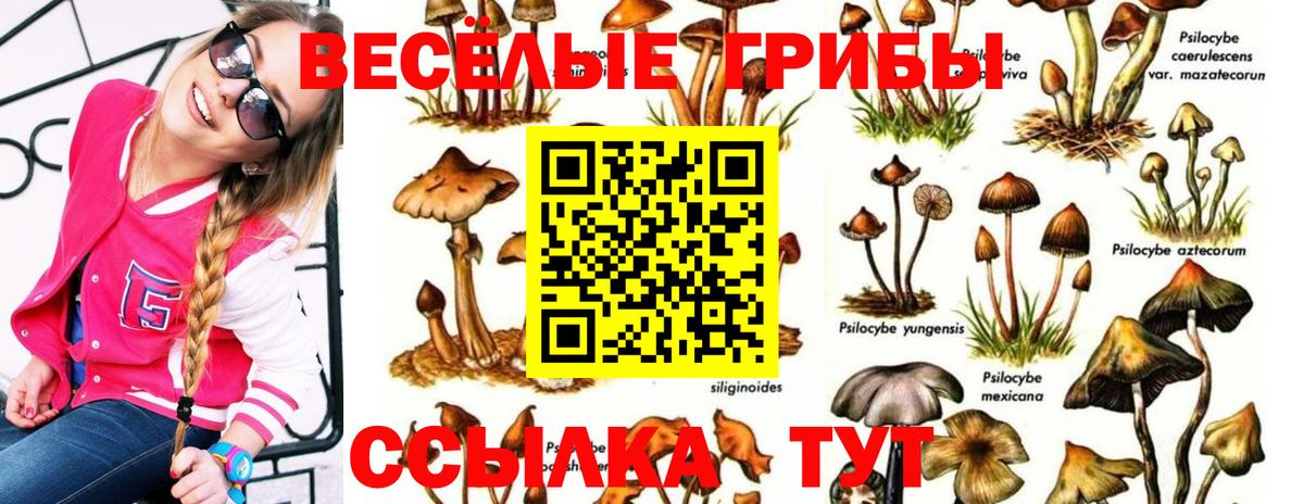 Псилоцибиновые грибы GOLDEN TEACHER  Псилоцибиновые грибы Magic Shrooms  Вход с VPN  наркошоп  Великие Луки 