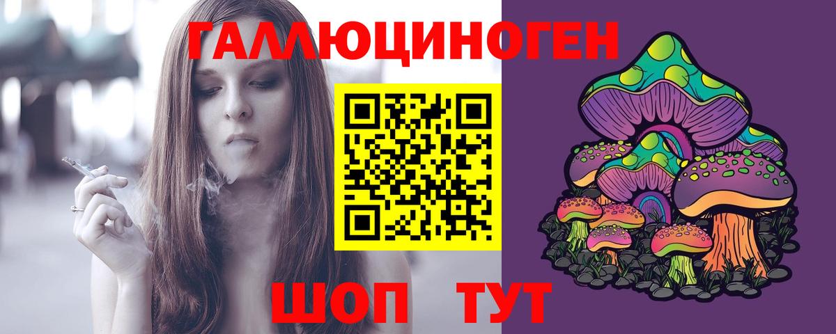 Псилоцибиновые грибы Psilocybe Великие Луки